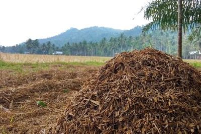 Solusi Inovatif untuk Mengurangi Limbah Pertanian dan Mendukung Pertumbuhan Pertanian yang Berkelanjutan: Teknologi Pengolahan Limbah Menjadi Pupuk Organik di Desa