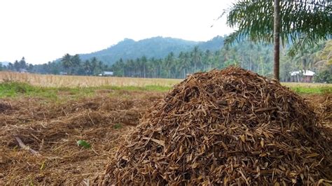 Solusi Inovatif untuk Mengurangi Limbah Pertanian dan Mendukung Pertumbuhan Pertanian yang Berkelanjutan: Teknologi Pengolahan Limbah Menjadi Pupuk Organik di Desa