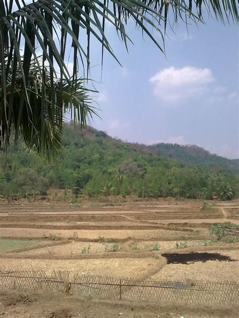 Kebersamaan di Desa