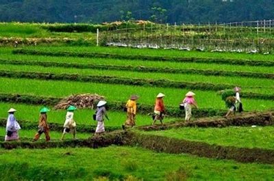 Transformasi Pertanian di Desa Menuju Smart Farming: Peluang, Tantangan, dan Solusi