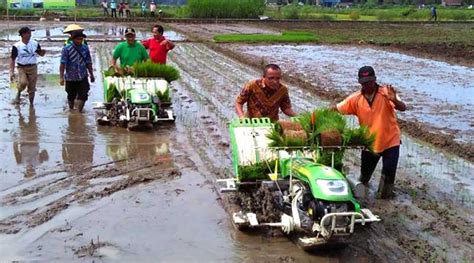 Untuk mengatasi tantangan dalam transformasi pertanian menuju smart farming, beberapa solusi dapat di implementasikan.