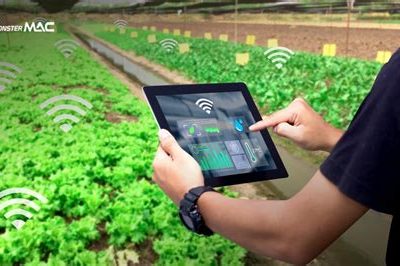 Program Aplikasi Manajemen Produksi dan Pengolahan Hasil Pertanian dan Perikanan Desa