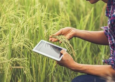 Pertanian Digital Desa: Meningkatkan Keterampilan Petani dalam Menggunakan Teknologi Digital di Desa