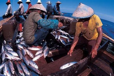 Perikanan Tangkap Desa: Teknologi Aplikasi untuk Meningkatkan Ekonomi Lokal dan Mempromosikan Produk Lokal di Pasar Global