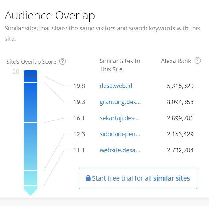 Audience Analysis 
