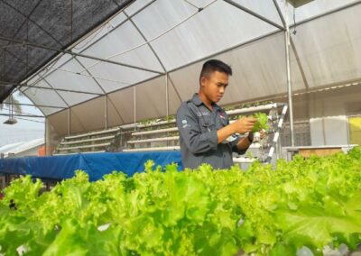 Revitalisasi Desa Melalui Teknologi Digital: Transformasi Pertanian dan Industri Kreatif