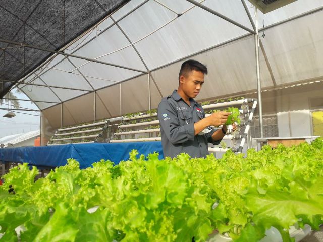 Revitalisasi Desa Melalui Teknologi Digital: Transformasi Pertanian dan Industri Kreatif
