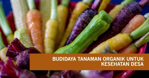 Manfaat Budidaya Tanaman Pangan Organik dalam Meningkatkan Kesehatan di Desa