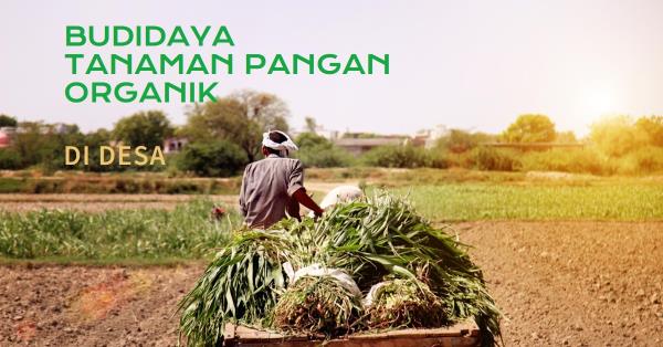 Memulai Usaha Agrowisata dengan Budidaya Tanaman Pangan Organik di Desa