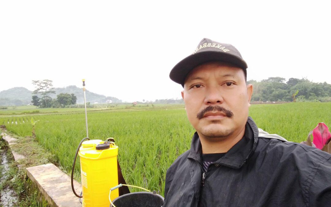 Dengan Panda Publikasi Berita Semudah Main WA