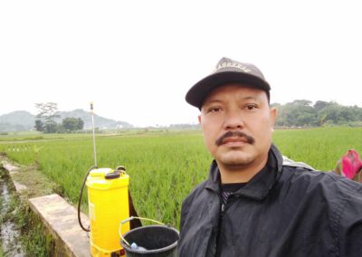 Dengan Panda Publikasi Berita Semudah Main WA