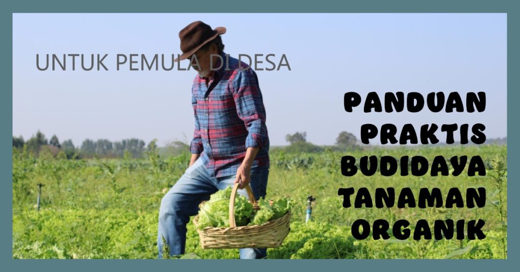 Panduan Praktis Budidaya Tanaman Pangan Organik untuk Pemula di Desa