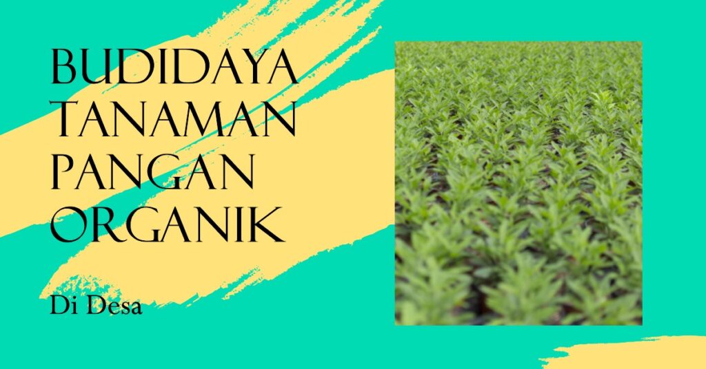 Peran Komunitas dalam Membangun Sistem Budidaya Tanaman Pangan Organik di Desa