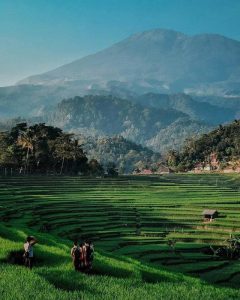 SI Terintegrasi, Optimalkan Potensi Pariwisata Desa