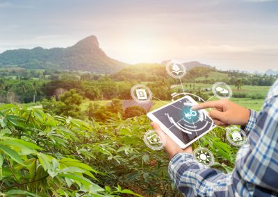 Membangun Ekosistem Pertanian Digital yang Berkelanjutan untuk Pemberdayaan Desa dan Masyarakatnya