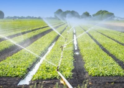 Irigasi Pintar di Desa: Meningkatkan Produktivitas Pertanian dengan Teknologi Terbaru