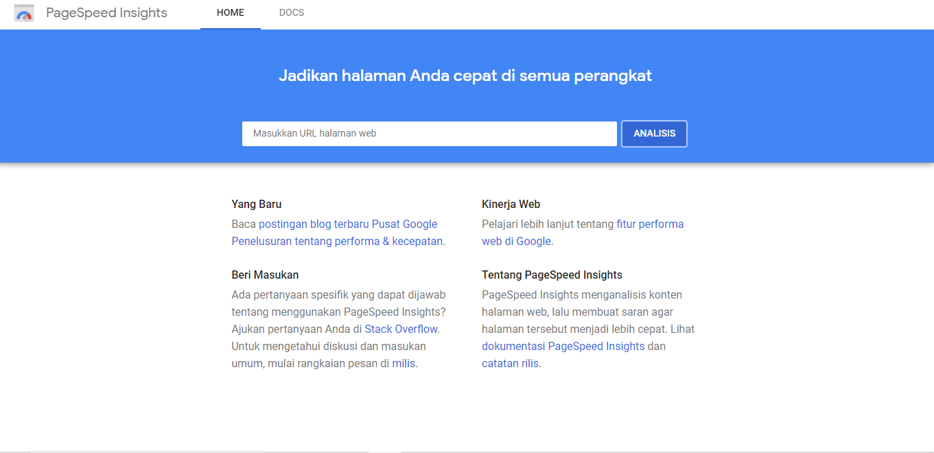 website Google PageSpeed Insight
