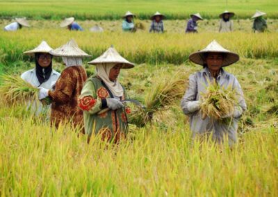 Transformasi Tata Kelola Pertanian di Perdesaan dengan Sistem Informasi Pertanian