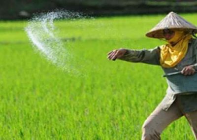 Revitalisasi Pertanian Desa Melalui Layanan Konsultasi Digital yang Terintegrasi