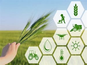 Gaambar andalan Layanan konsultasi digital bagi pengembangan agribisnis di desa