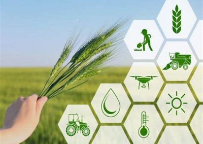 Layanan Konsultasi Digital bagi Pengembangan Agribisnis di Desa