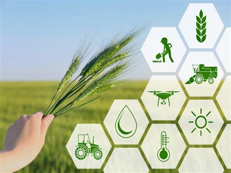 Layanan Konsultasi Digital bagi Pengembangan Agribisnis di Desa