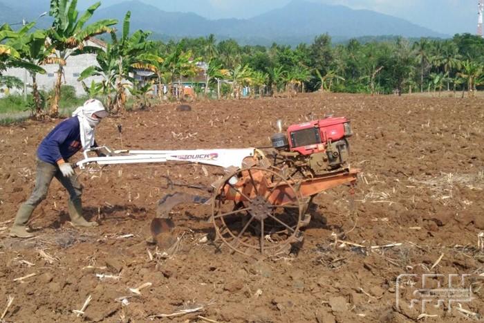 Pengelolaan Lahan Berkelanjutan untuk Meminimalkan Erosi Tanah di Desa