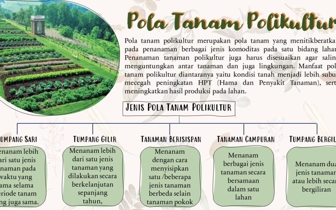 Penerapan Pola Tanam Polikultur dan Agrobiodiversitas untuk Pertanian Berkelanjutan di Desa